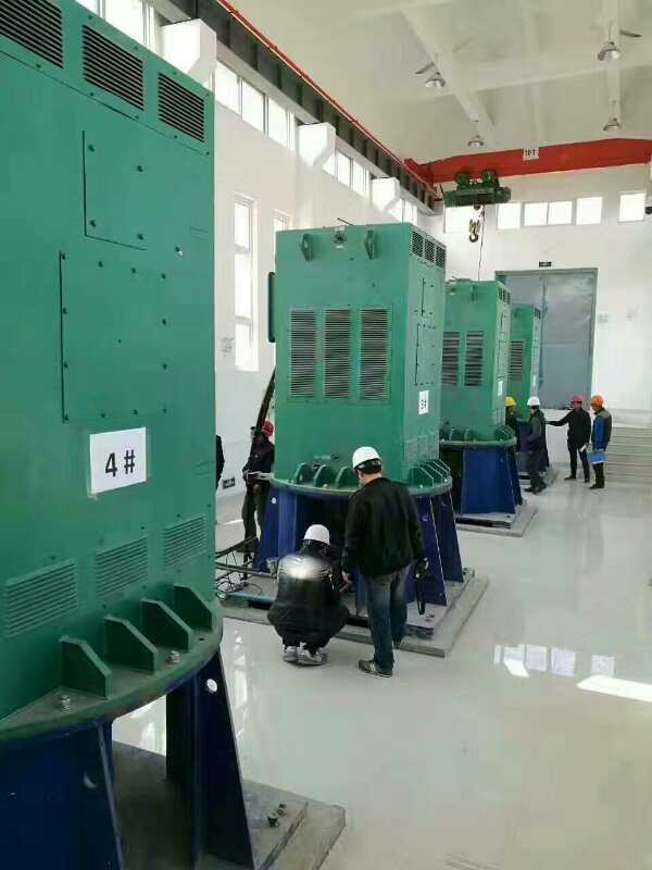 Y4504-2某污水处理厂使用我厂的立式高压电机安装现场