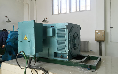 Y4504-2某水电站工程主水泵使用我公司高压电机