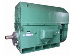 Y4504-2Y系列6KV高压电机